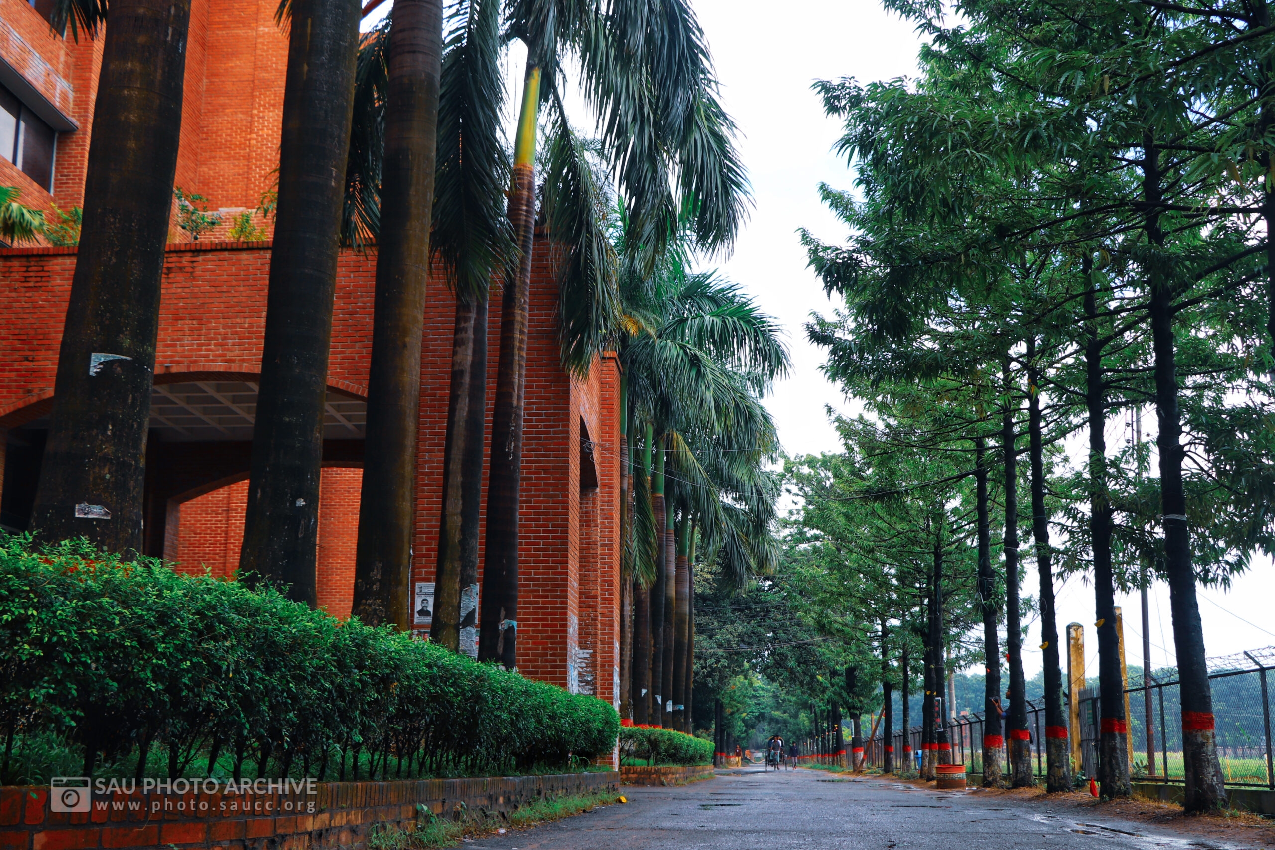 A Road photo is captured by Md. Nazmus Sakib Anik at Sher-e-Bangla Agricultural University titled Road in front of Administrative Building